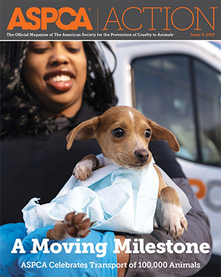 ASPCA Action Issue #3 2019