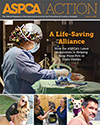 ASPCA Action Issue #2, 2016