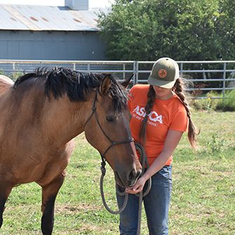 Hippo with a woman in an orange ASPCA shirt outside