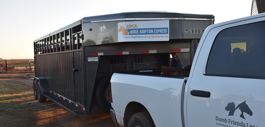 a horse transport truck