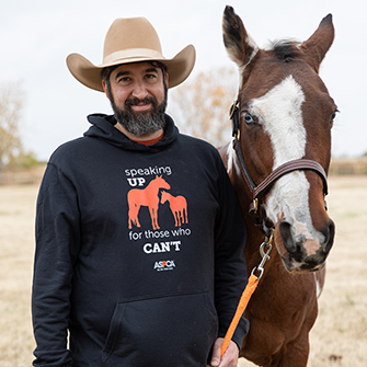 a man with an ASPCA horse welfare hoody holding a harness of a brown horse with a large white face marking