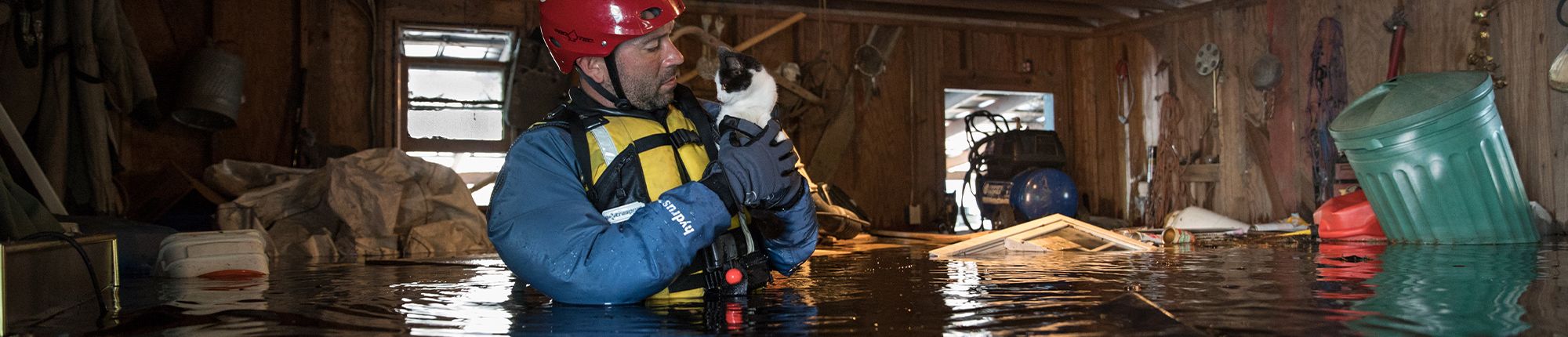Man rescuing cat from flooded house